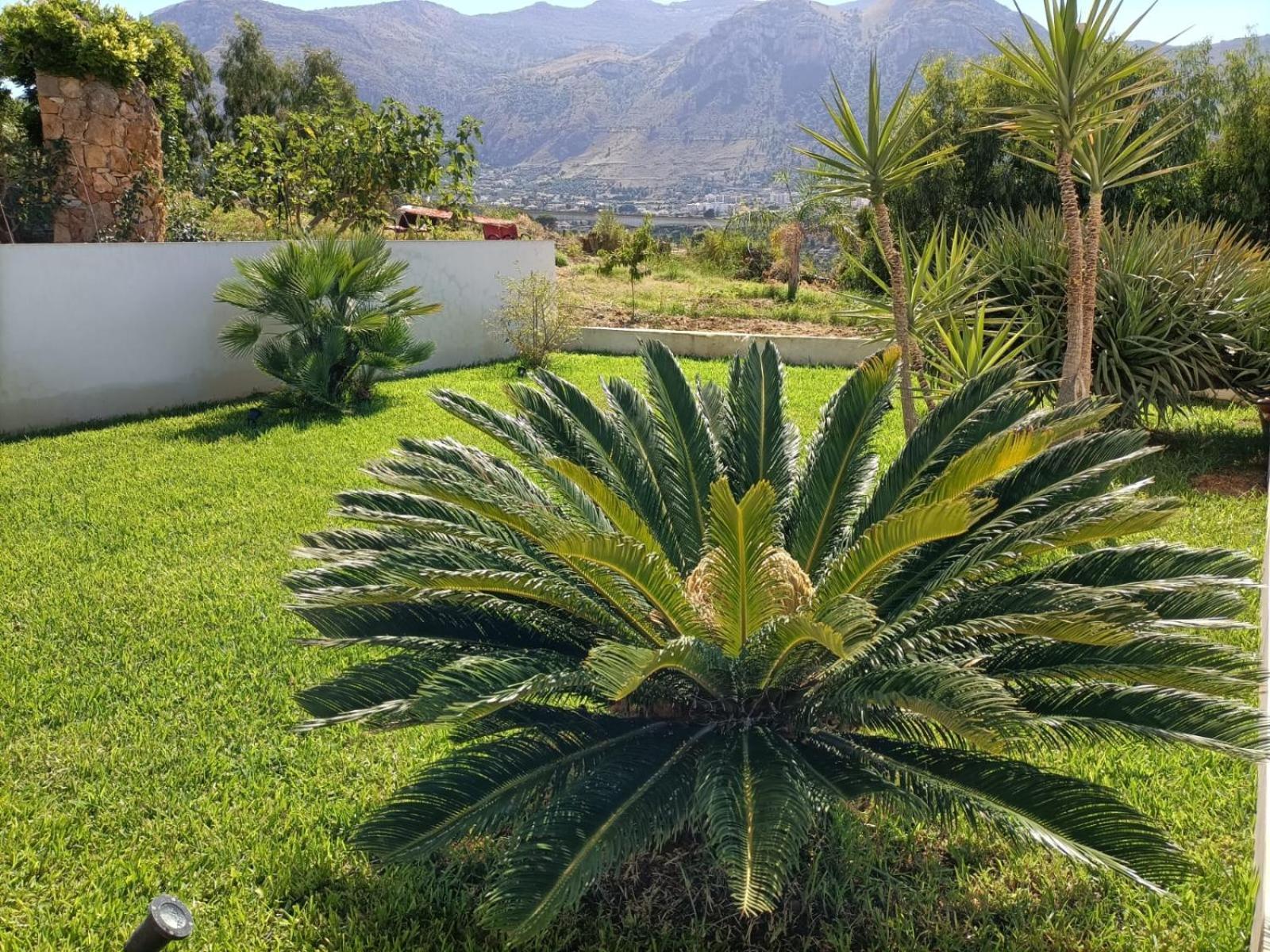 Villa Flo Castellammare del Golfo Esterno foto