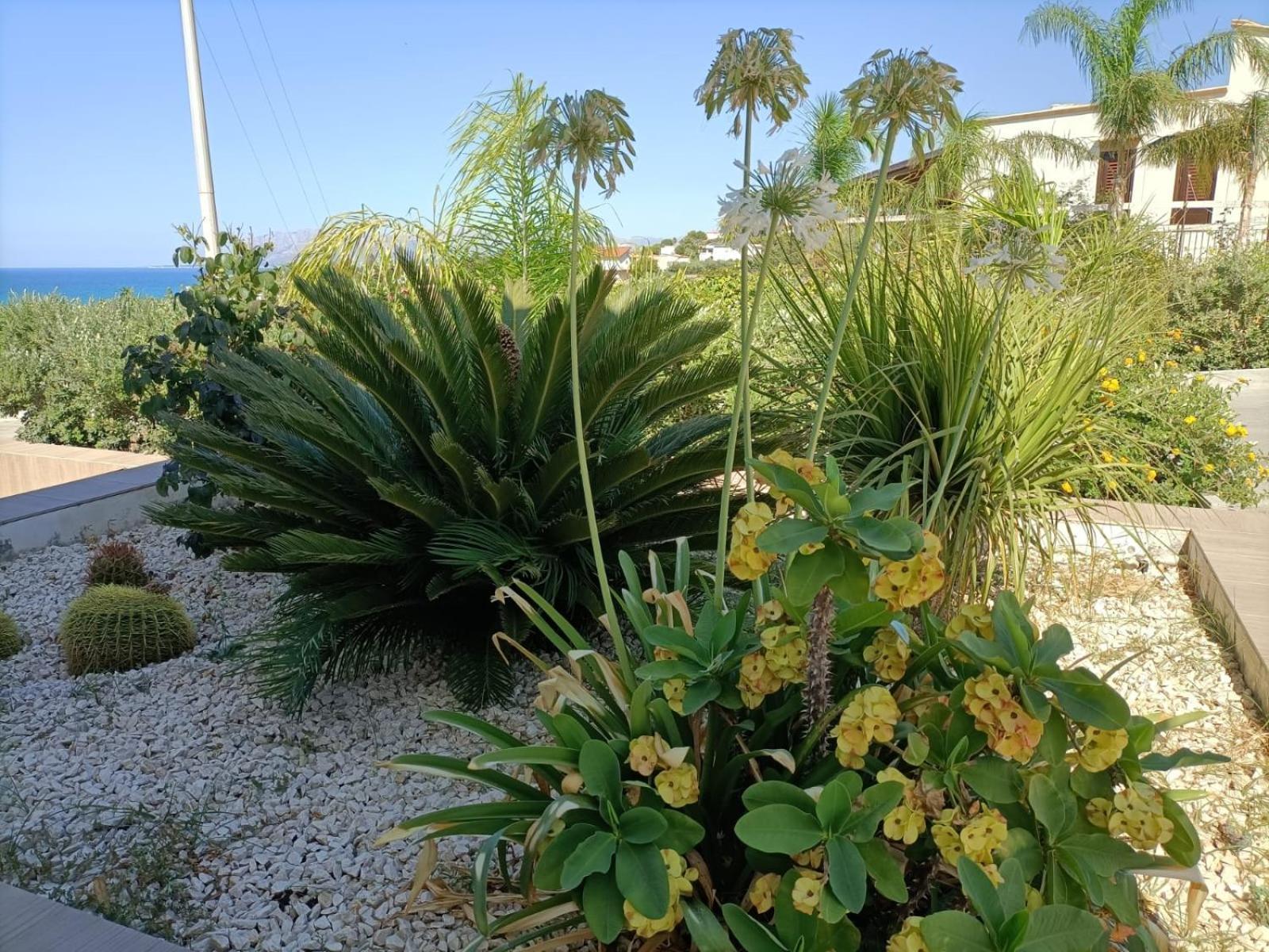 Villa Flo Castellammare del Golfo Esterno foto